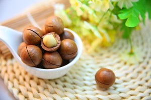 macadamia-nuts-1098170_640